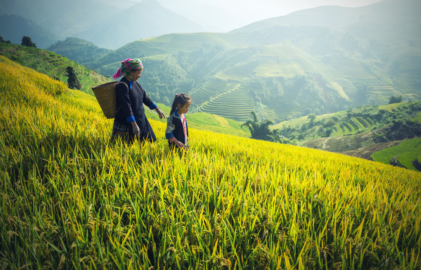 Asian Mother in Child in the Rice Field